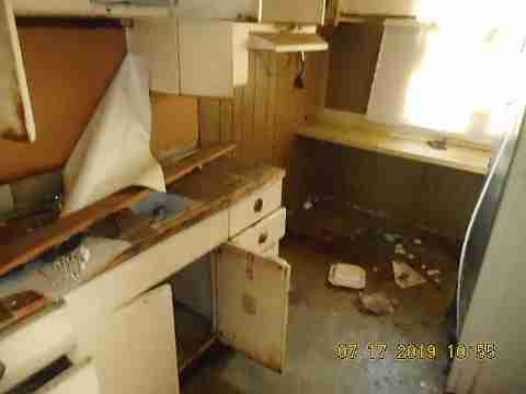 13117 Jane (10)_m.jpg